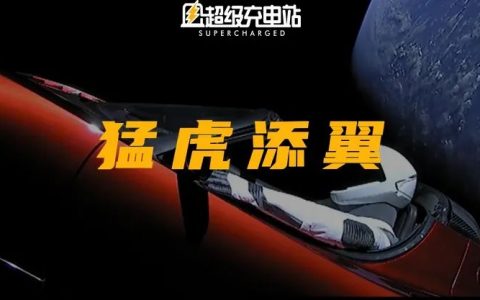 牛年之后，新能源汽车还能继续「虎」吗？