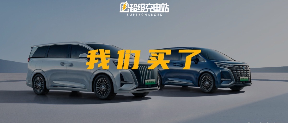 「电动豪华 MPV」问卷，腾势的答案封面上印着 D9