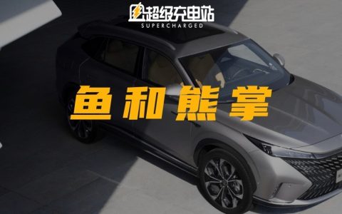 想要燃油车「动力油耗」双丰收？上汽荣威：加钱就完事了