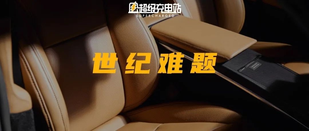 这套特斯拉专属竹子内饰，比一辆 Model 3 还贵