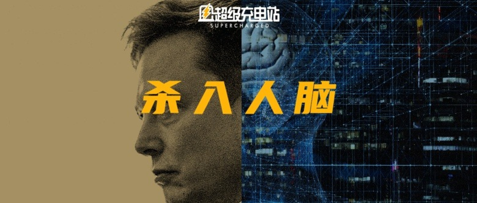 6 个月后，马斯克要将 Neuralink 植入你的大脑