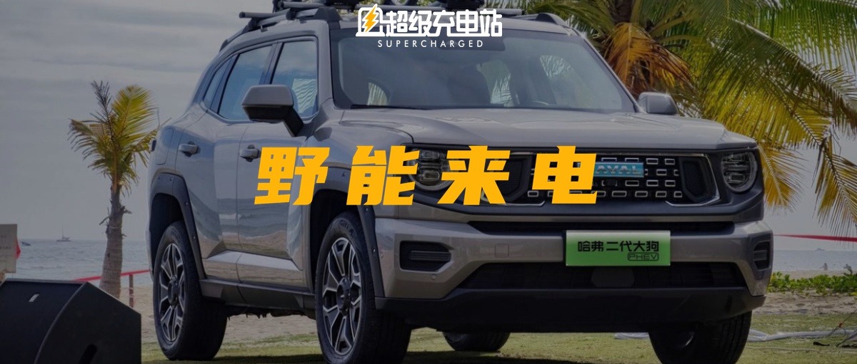 哈弗二代大狗带来的「野性的呼唤」