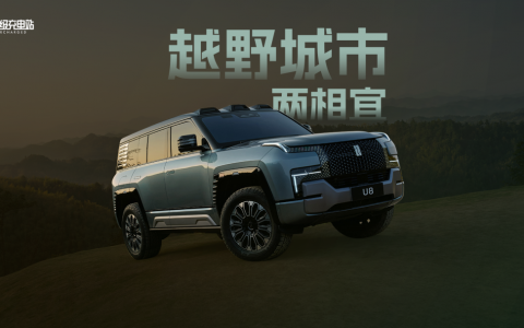 解读仰望云辇-P：随心控车，纵横四方