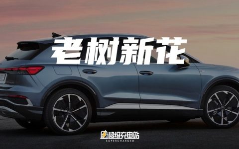 奥迪也有纯电新能源，卖得可以的那种