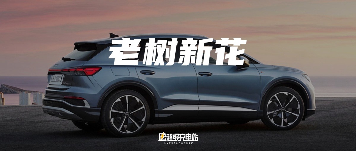 奥迪也有纯电新能源，卖得可以的那种