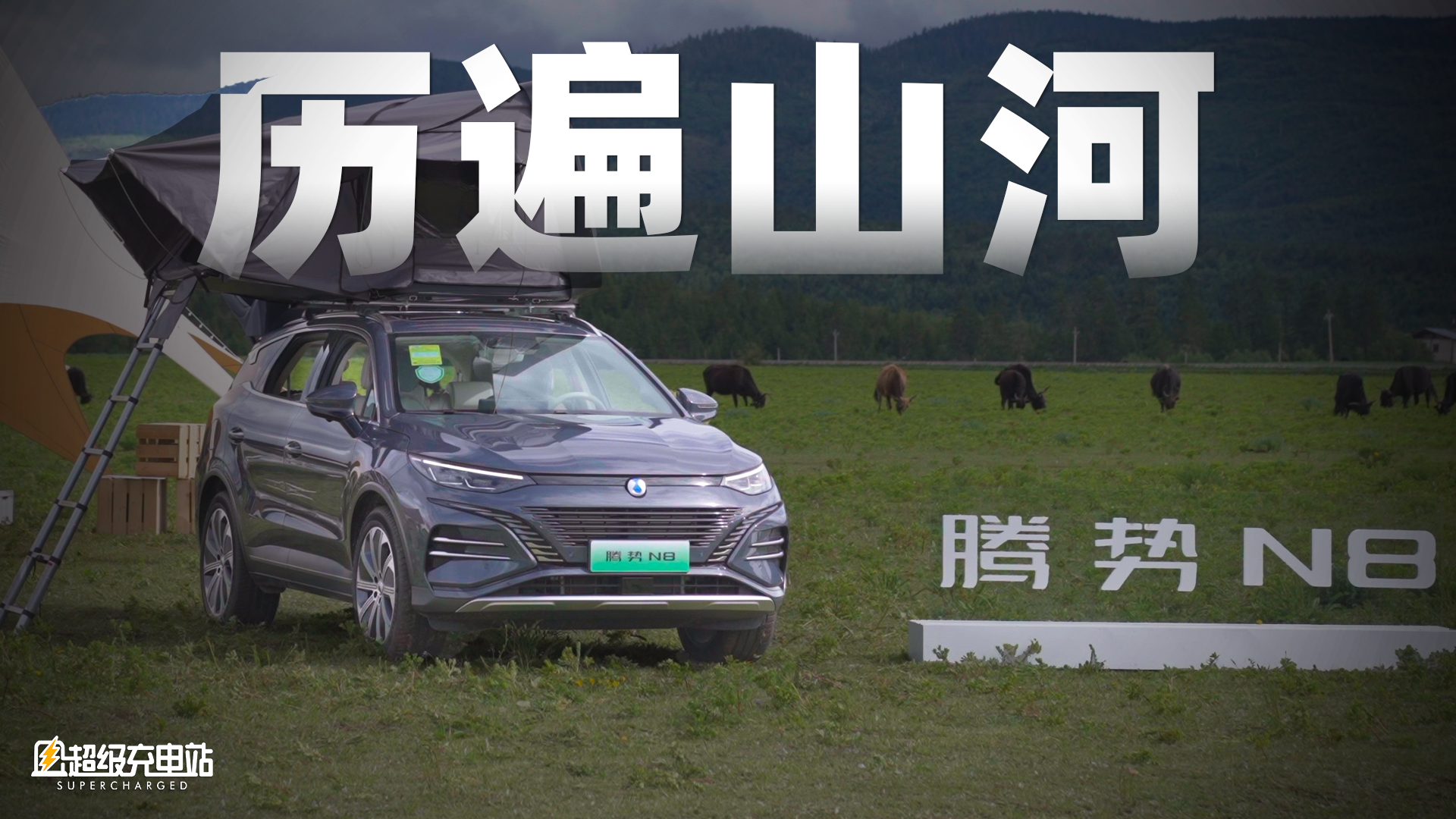 首试腾势 N8：智能豪华全场景，大龄男孩快乐车