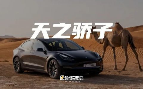 特斯拉车主调查二：七年过去，世界依然宠爱 Model 3