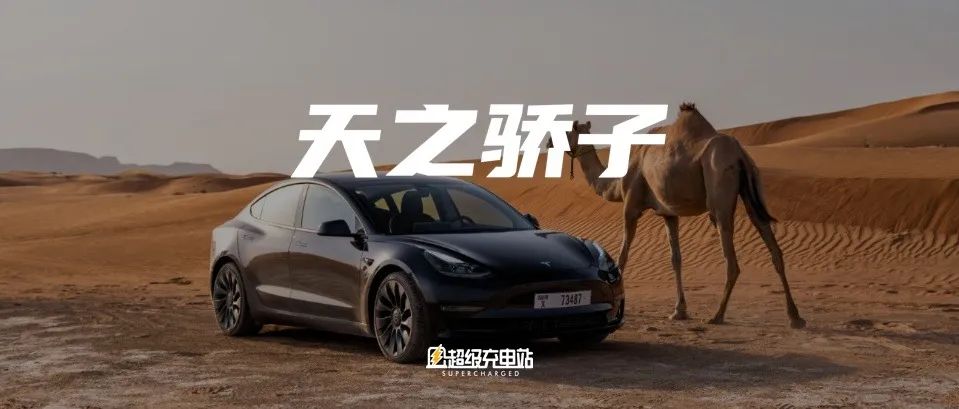 特斯拉车主调查二：七年过去，世界依然宠爱 Model 3