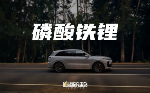 哪一条路才能抵达巅峰？理想拉着宁德给出了一种答案