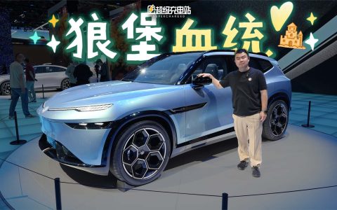 金标大众的这场革命，打算搞得「狼性」一点