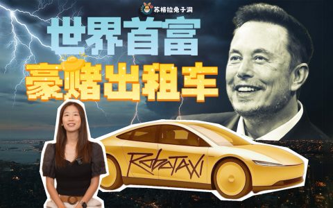 Robotaxi 能拯救特斯拉吗？我们给老马算了笔账