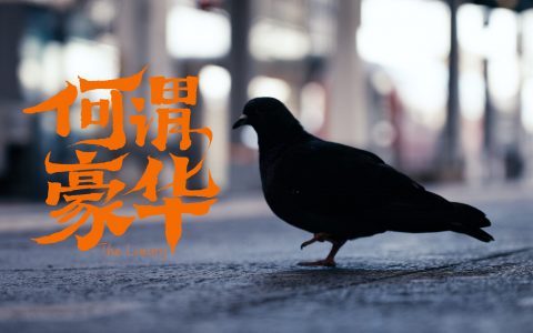 什么是汽车品牌的豪华？我们想用《何谓豪华》作答案