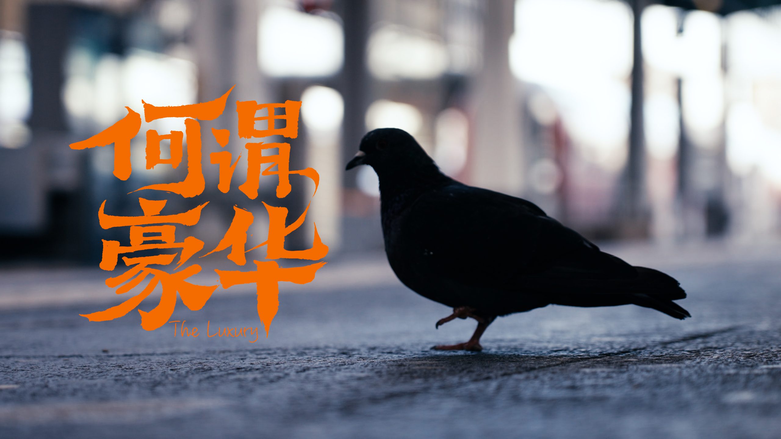 什么是汽车品牌的豪华？我们想用《何谓豪华》作答案